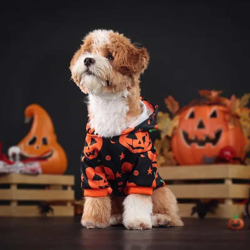 Dog, Cat, Pumpkin Hoodie Halloween Party Pet Clothing