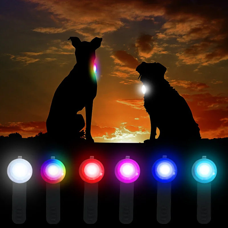 IPX8 Waterproof Pet Dog Collar Pendant USB Rechargeable Night Safety Pet LED Light Flashing Pendant Collar for Dog Accessories