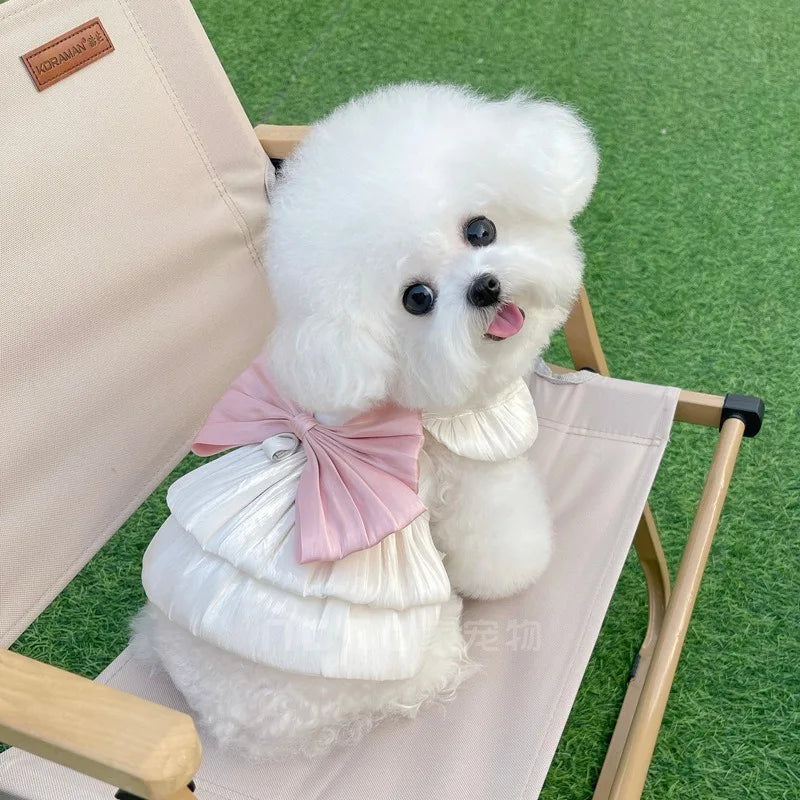 Pet Clothes Dog Tulle Princess Dress Spring Summer Shimmering Cat Skirt Lace Dress Teddy Bichon Dog Cat Outdoor Sun Protection