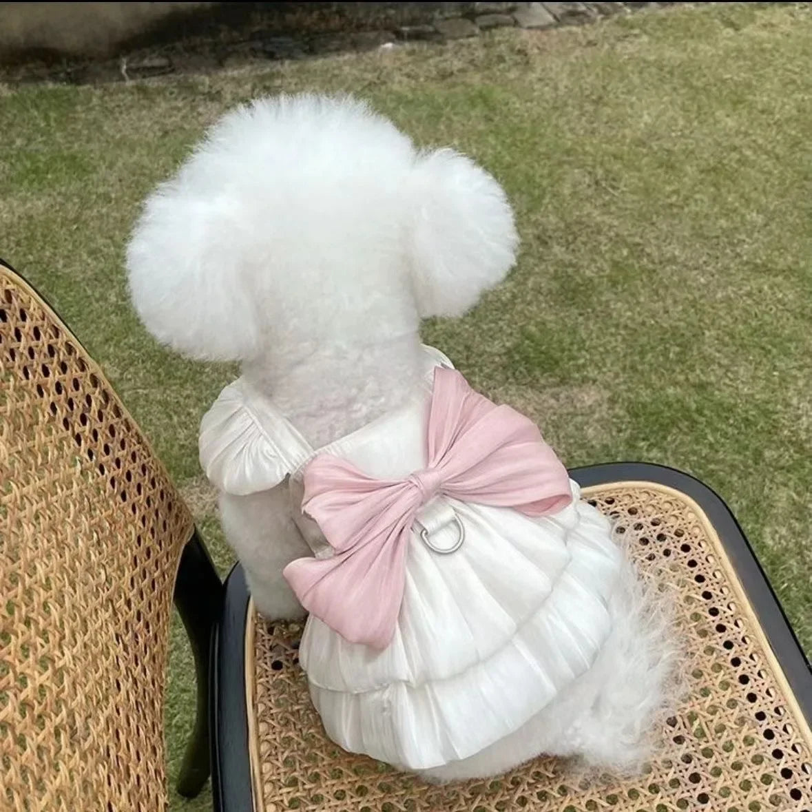 Pet Clothes Dog Tulle Princess Dress Spring Summer Shimmering Cat Skirt Lace Dress Teddy Bichon Dog Cat Outdoor Sun Protection