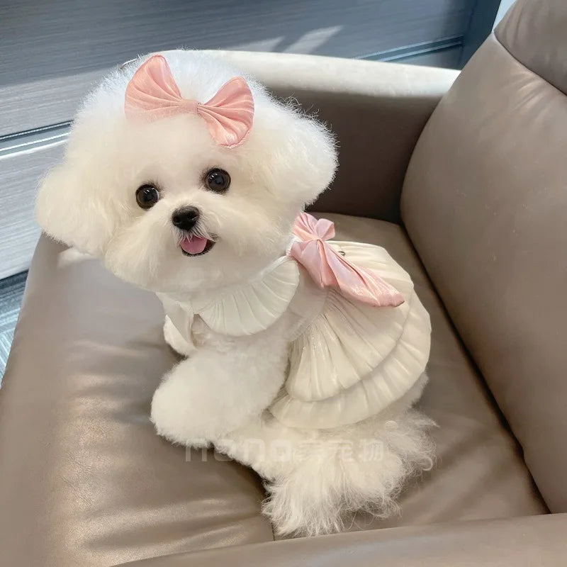 Pet Clothes Dog Tulle Princess Dress Spring Summer Shimmering Cat Skirt Lace Dress Teddy Bichon Dog Cat Outdoor Sun Protection