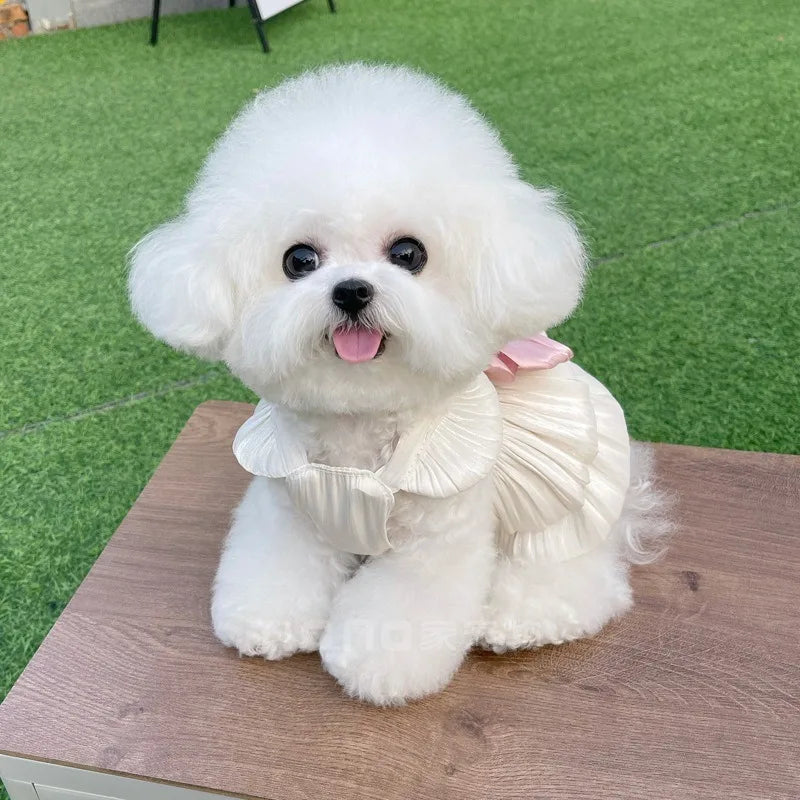 Pet Clothes Dog Tulle Princess Dress Spring Summer Shimmering Cat Skirt Lace Dress Teddy Bichon Dog Cat Outdoor Sun Protection