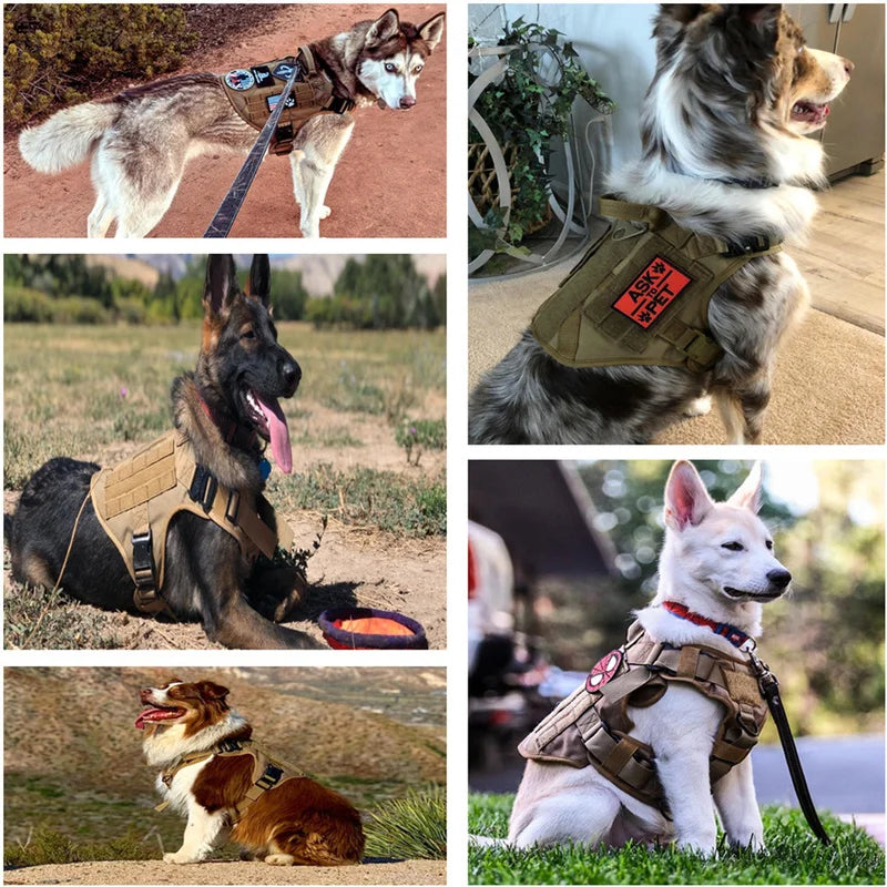 Tactical Dog Harness Military K9 Training Dog Harness for Large German Shepherd Dog Accessories for Walking Hiking Training