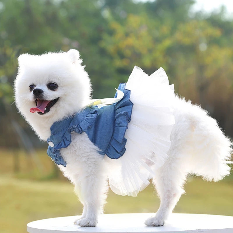 Teddy Denim Skirt 5 Sizes Comfortable Fabric Ventilate Antibacterial Finishing Fashion Travel Dog Supplies Cowboy Dog Vest Denim